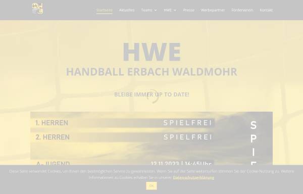 Vorschau von www.hwe-handball.de, Handballspielgemeinschaft aus HSV 1989 Waldmohr e.V. & SSV Homburg-Erbach Abteilung Handball und TV Homburg