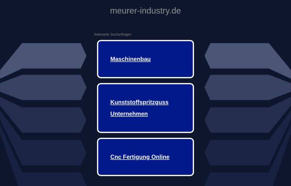 Vorschau von meurer-industry.de, TMP Meurer Industry & Consult GmbH