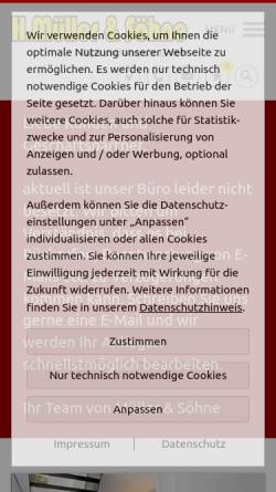 Vorschau der mobilen Webseite www.hans-mueller-soehne.de, Müller Gips und Verputz GmbH