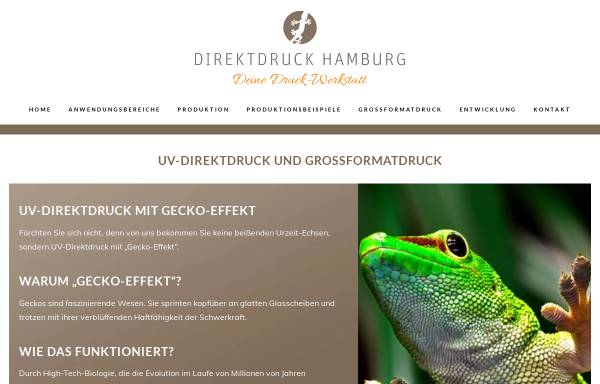 Vorschau von www.direktdruck-hamburg.de, Direktdruck Hamburg Fehland Kleve GbR
