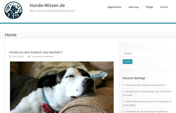 Vorschau von hunde-wissen.de, Hunde-Wissen, Eike Lubetzki