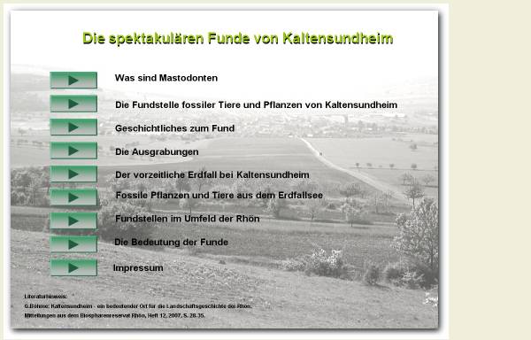 Funde fossiler Tiere und Pflanzen von Kaltensundheim