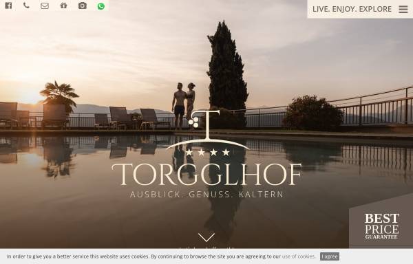 Vorschau von www.torgglhof.it, Garni Torgglhof