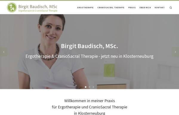Vorschau von www.dieergotherapeutin.at, Ergotherapie / Birgit Baudisch, MSc