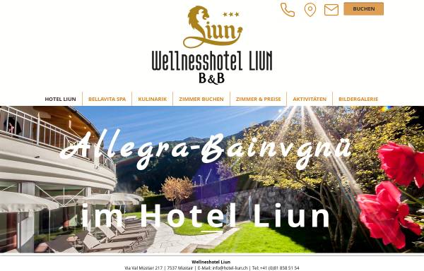 Vorschau von www.hotel-liun.ch, Hotel Liun