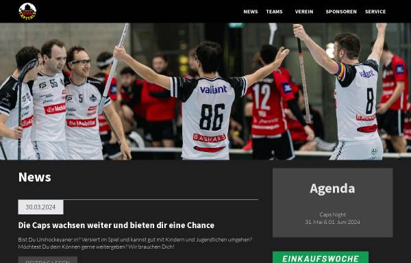 Vorschau von www.unihockeybern.ch, Bern Capitals