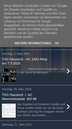 Vorschau der mobilen Webseite tsghassloch.blogspot.de, TSG Hassloch
