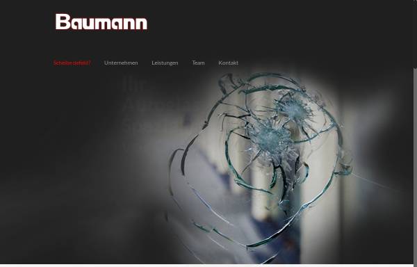 Vorschau von www.baumann-autoglas.de, Baumann Autoglas GmbH