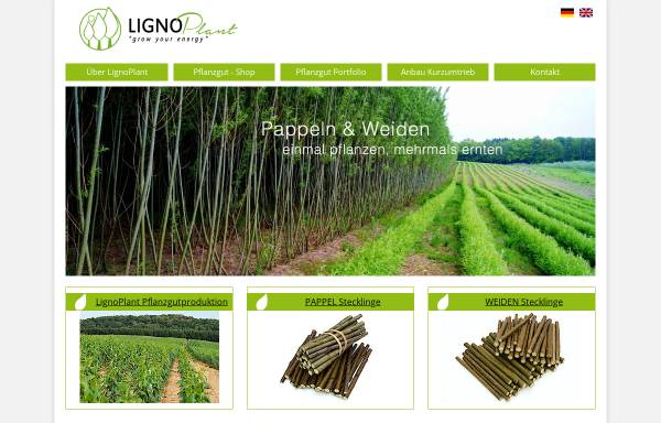 Vorschau von www.lignoplant.com, Lignovis GmbH
