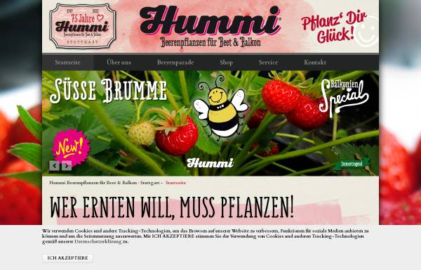 Vorschau von www.hummibeeren.de, RReinhold Hummel GmbH + Co. KG