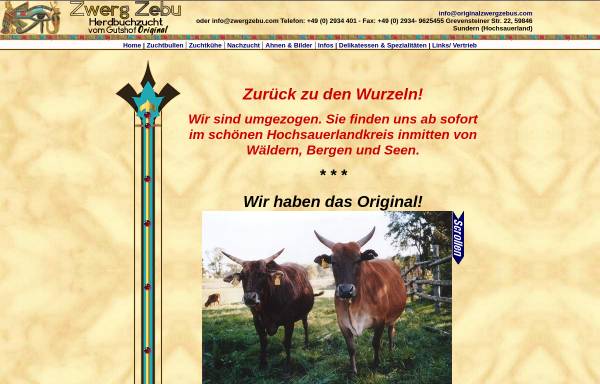 Zwerg–Zebus vom Gutshof Original - Assimina Christopoulou