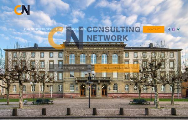 Vorschau von consulting-network.net, Consulting Network e.V.