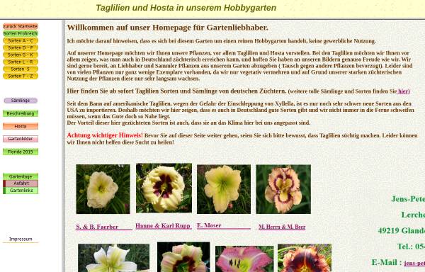 Vorschau von www.taglilien-hosta.de, Taglilien - Hosta