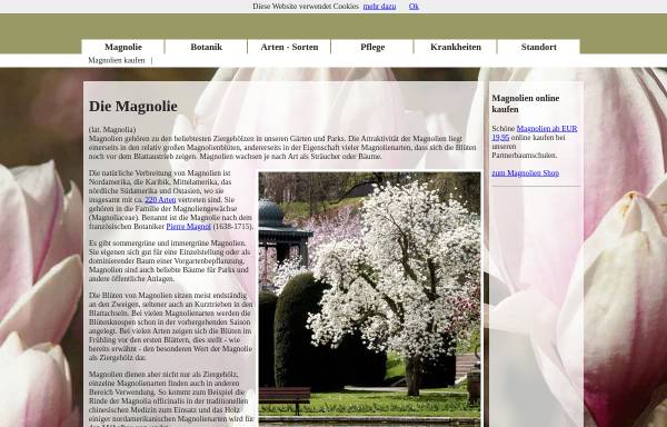 Vorschau von www.die-magnolie.de, Die Magnolie