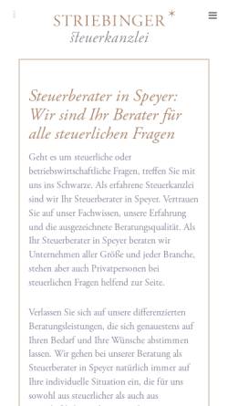 Vorschau der mobilen Webseite www.steuerberater-in-speyer.de, Steuerberater Eric Striebinger