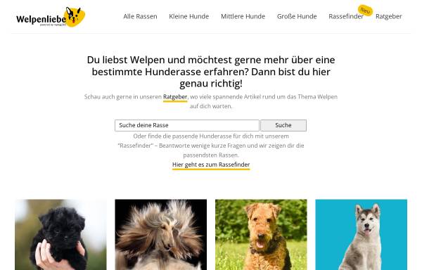 Vorschau von www.welpen-liebe.de, Welpen Liebe - Bang Boom Woof GmbH