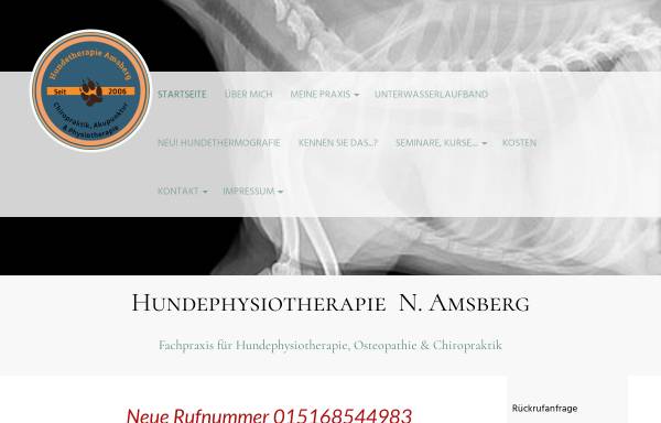 Vorschau von www.hundetherapie-amsberg.de, Hundetherapie Amsberg