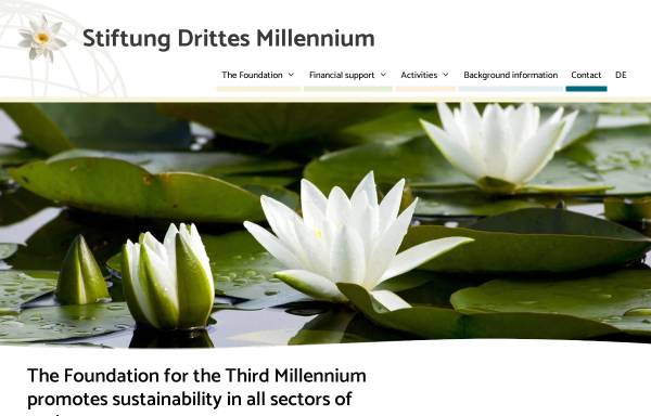 Vorschau von www.stiftung-drittes-millennium.com, Stiftung Drittes Millennium