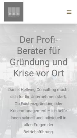 Daniel Hellweg Consulting