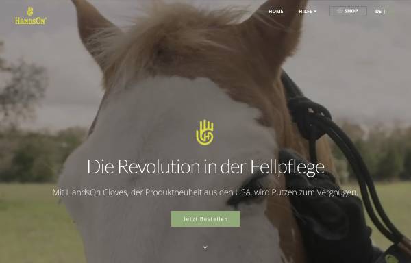 Vorschau von www.revolution-handson.de, Revolution HandsOn