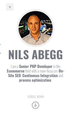 Vorschau der mobilen Webseite nilsabegg.com, Shopware Freelancer Nils Abegg