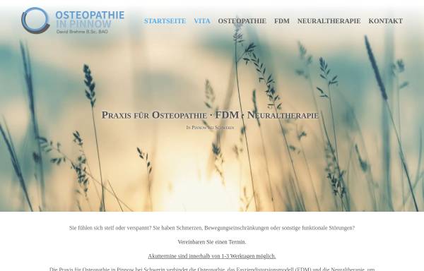 Vorschau von www.osteopathie-brehme.de, Osteopathie in Pinnow - David Brehme