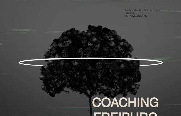Vorschau von www.systemisches-coaching-freiburg.com, Sinnfang Coaching