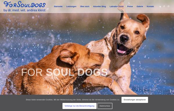 Vorschau von www.artgerechte-hundeerziehung.de, Artgerechte Hundeerziehung Dr. Andrea Kleist