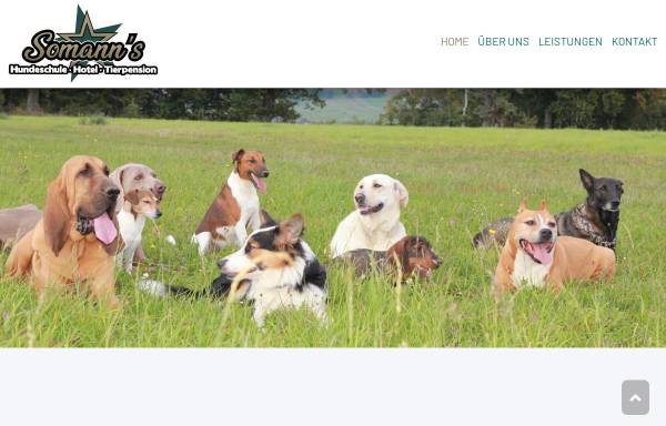 Vorschau von www.bayerische-hundeschule.de, Bayerische Hundeschule und Tierpension Somann