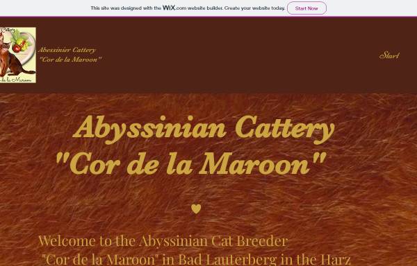 Vorschau von cor-de-la-maroon.wixsite.com, Abessinier- Zucht 