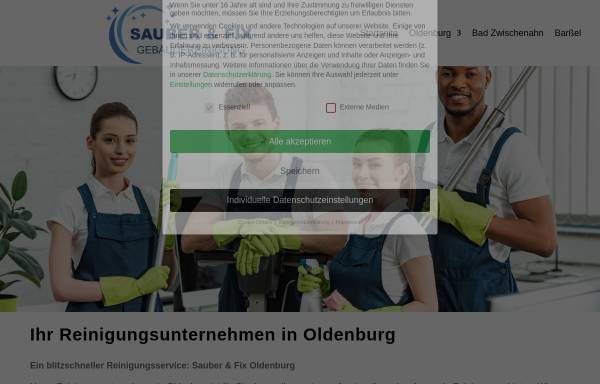 Vorschau von reinigungsflitzer.de, Reinigungsflitzer