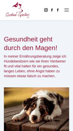 Vorschau der mobilen Webseite ernaehrungsberatung-hund.net, Ernährungsberatung für Hunde mit Caroline Sperling