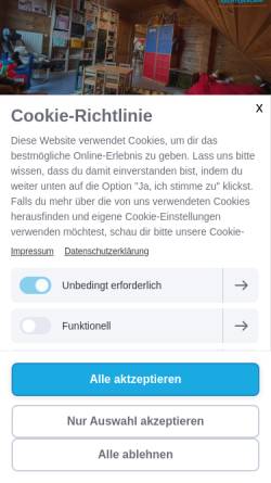 Vorschau der mobilen Webseite www.tagesvater.net, Micha's Abenteuerland-Kindertagespflege
