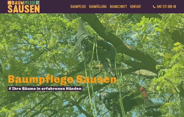 Baumpflege Sausen