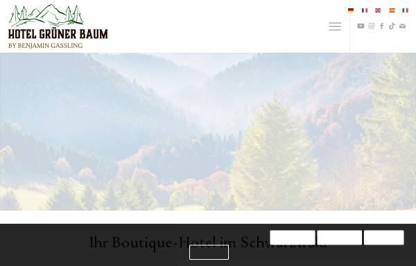 Hotel Grüner Baum