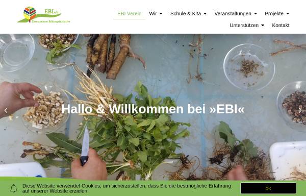 Vorschau von www.ebi-ev.de, Ebertsheimer Bildungsinitiative e.V.