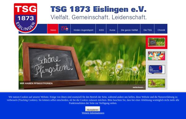 Vorschau von www.tsg-eislingen.de, TSG 1873 Eislingen e.V.