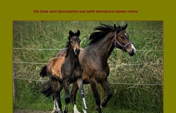 Vorschau von www.horse-house.de, Horse-House