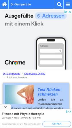 Vorschau der mobilen Webseite www.dr-gumpert.de, Dr. Gumpert: Rückenschmerzen