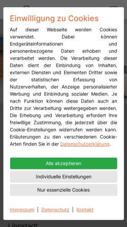 Vorschau der mobilen Webseite lunge-lippstadt.de, Schmatzler, Ralf, Dr. med.