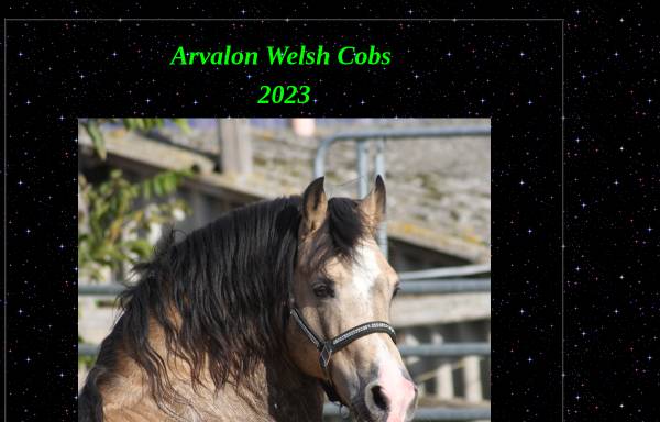 Arvalon Welsh Cobs