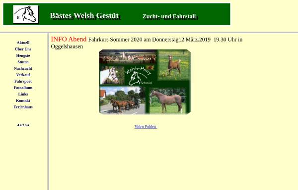 Vorschau von www.welsh-gestuet.com, Welsh Gestüt Bästes