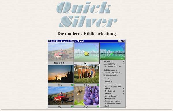 Vorschau von www.quicksilver.de, QuickSilver