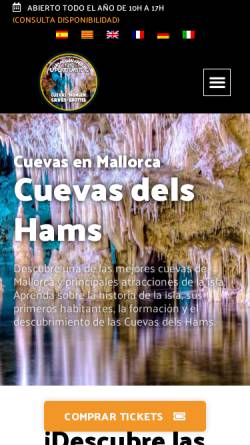 Vorschau der mobilen Webseite cuevasdelshams.com, Cuevas dels Hams