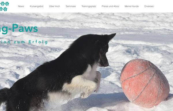 Vorschau von www.flying-paws.ch, Flying Paws Trainingscenter für Hunde