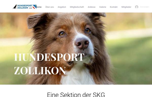 Vorschau von www.hundesport-zollikon.ch, Hundesport Zollikon