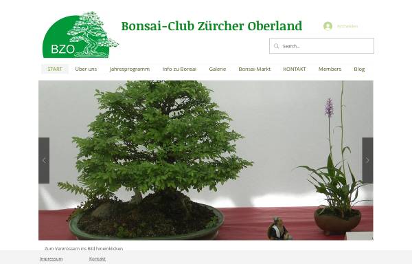 Vorschau von www.bonsaiclub.ch, BZO - Bonsaiclub Zürcher Oberland