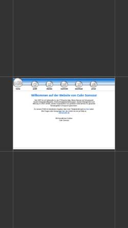 Vorschau der mobilen Webseite www.calin.de, Calin Somoza