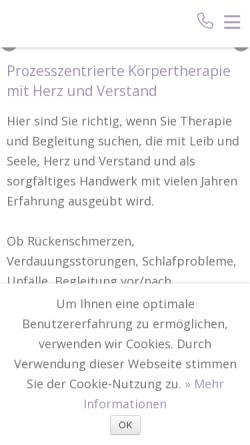 Vorschau der mobilen Webseite www.rschenker.ch, Raphael Schenker
