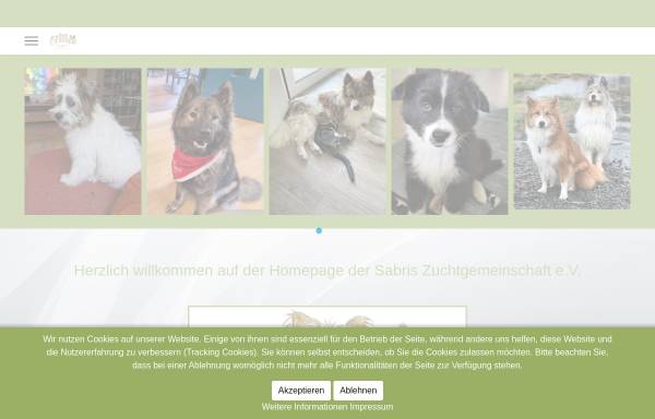 Vorschau von www.familienhund-elo.de, Elo Zuchtstätte von der Buttstegge